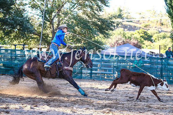 CoomaRodeo2017_2337