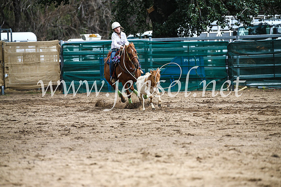 CoomaRodeo2017_0865