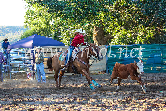 CoomaRodeo2017_5072
