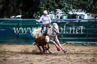 CoomaRodeo2017_0803