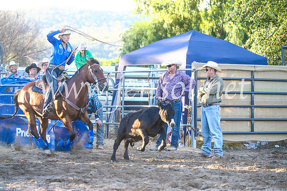CoomaRodeo2017_3519