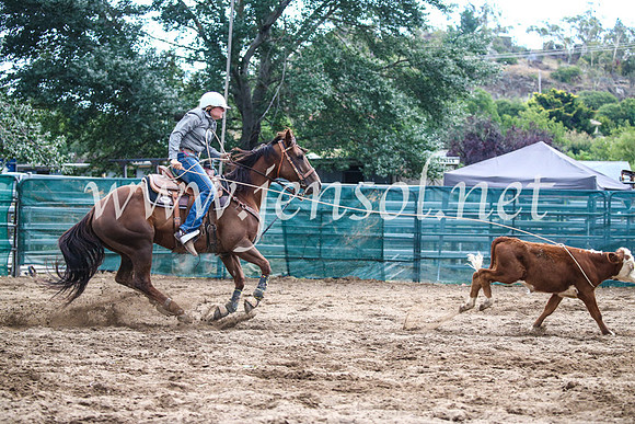 CoomaRodeo2017_1414
