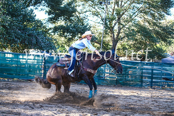 CoomaRodeo2017_2315