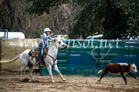 CoomaRodeo2017_0849