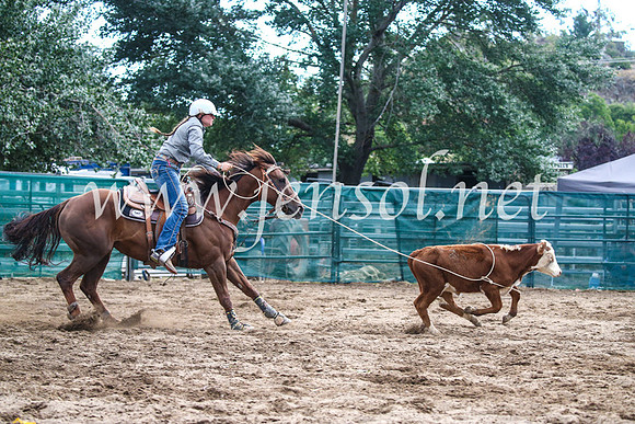 CoomaRodeo2017_1410