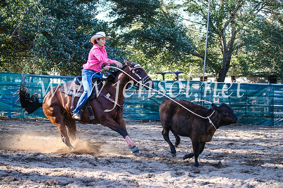 CoomaRodeo2017_2296