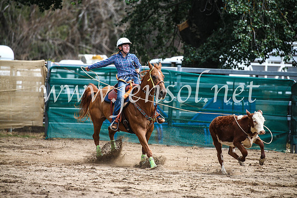 CoomaRodeo2017_0772