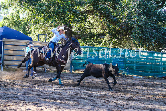 CoomaRodeo2017_2311