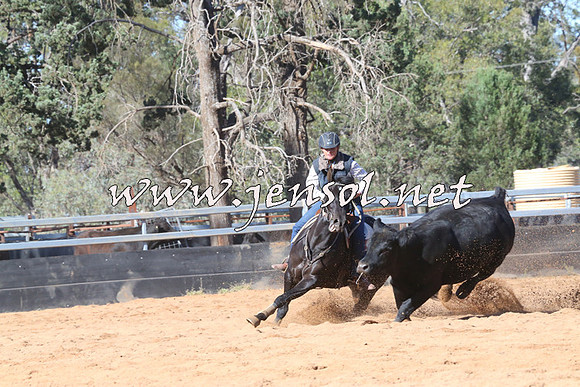 TubbulCampdraft2014_3223