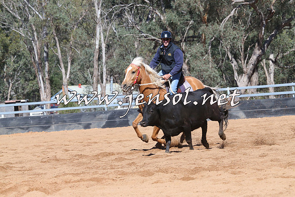 TubbulCampdraft2014_3327