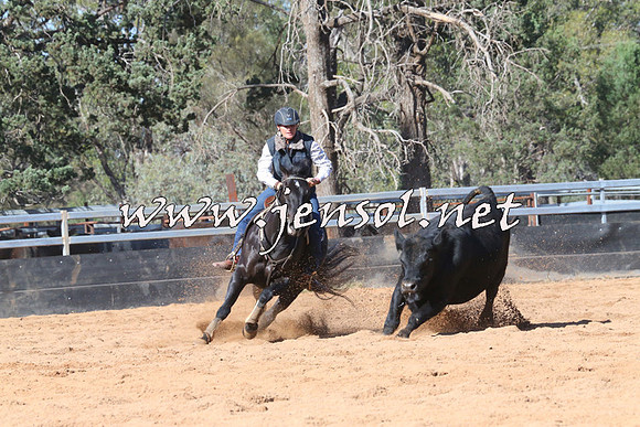 TubbulCampdraft2014_3226