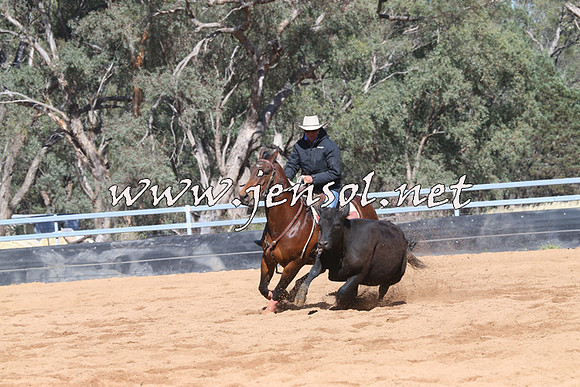 TubbulCampdraft2014_3286