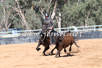 TubbulCampdraft2014_3190