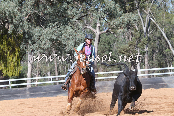 TubbulCampdraft2014_3259