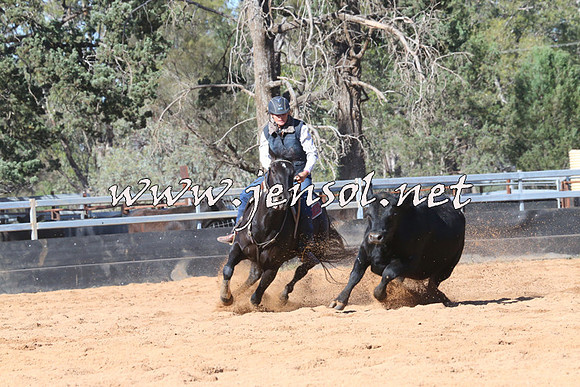 TubbulCampdraft2014_3227