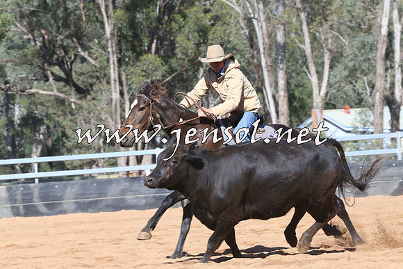 TubbulCampdraft2014_3242