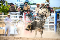 BungendoreRodeo2017_4207