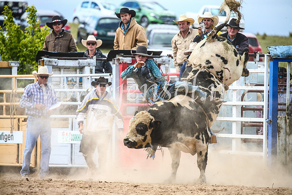 BungendoreRodeo2017_4207
