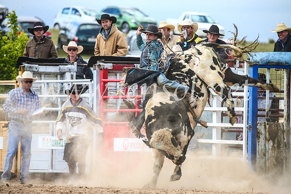 BungendoreRodeo2017_4202