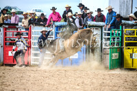 BungendoreRodeo2017_4274
