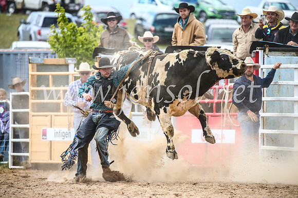 BungendoreRodeo2017_4223