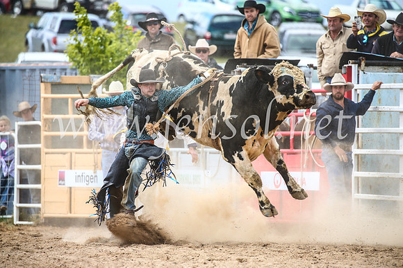 BungendoreRodeo2017_4221