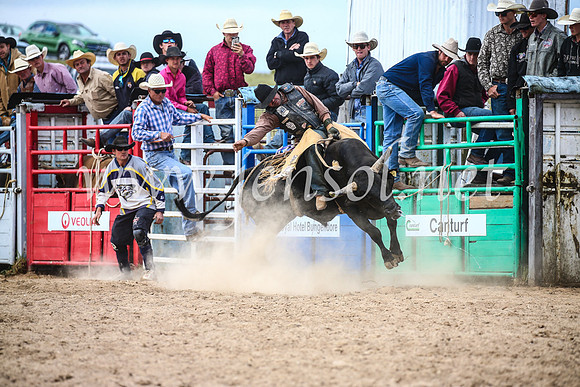 BungendoreRodeo2017_4344