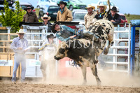 BungendoreRodeo2017_4208