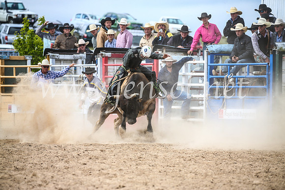 BungendoreRodeo2017_4292