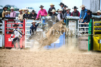 BungendoreRodeo2017_4275