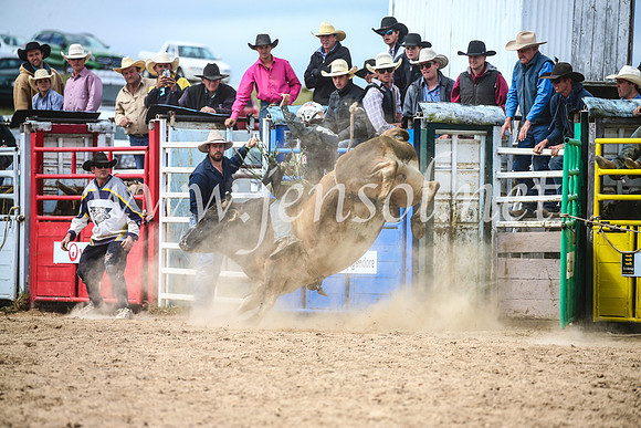 BungendoreRodeo2017_4275