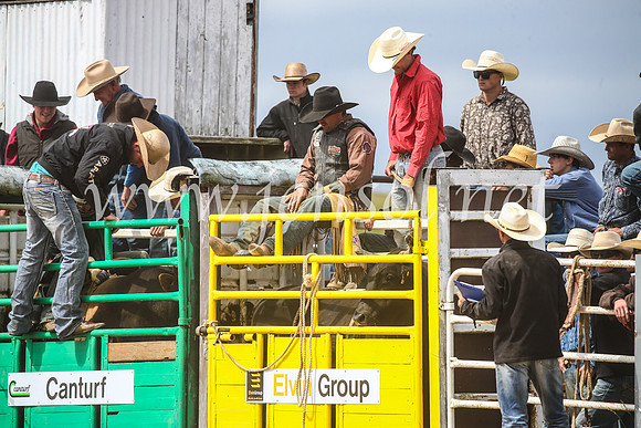 BungendoreRodeo2017_4273