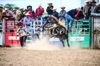BungendoreRodeo2017_4346