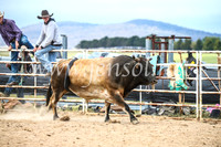 BungendoreRodeo2017_4335