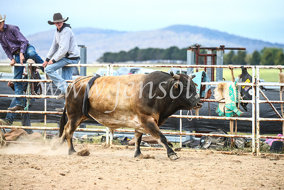 BungendoreRodeo2017_4335