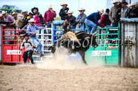 BungendoreRodeo2017_4343