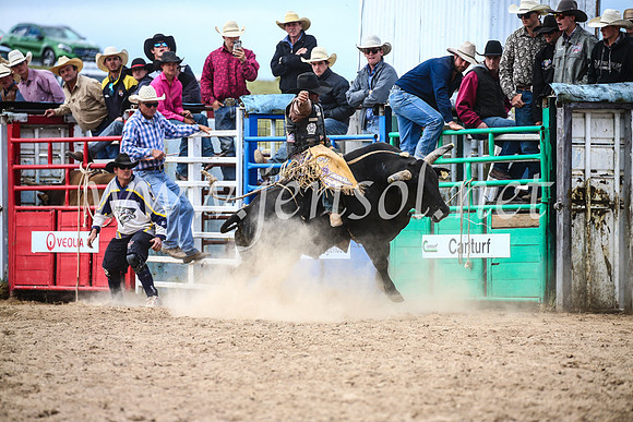 BungendoreRodeo2017_4343