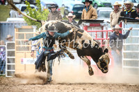BungendoreRodeo2017_4224