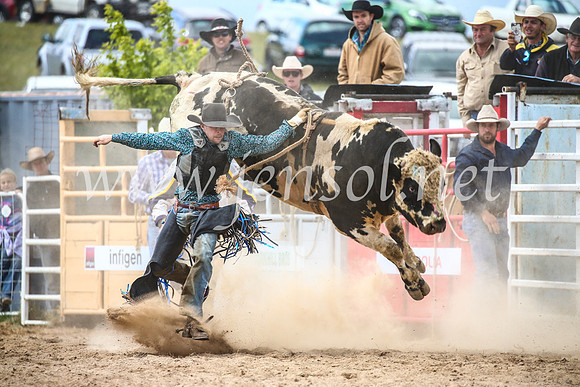 BungendoreRodeo2017_4222