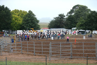 Taralga2015_0009