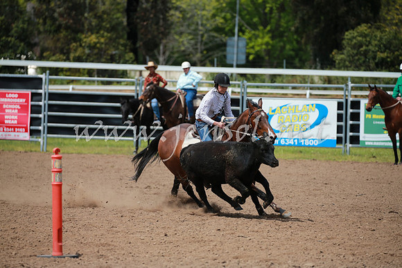 CowraCampdraft_0439