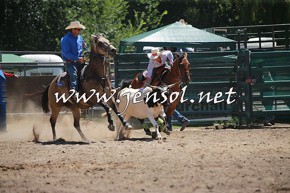 CoomaRodeo2016_0542