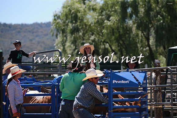 CoomaRodeo2016_1142