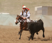 CabanandraCampdraft2013_1D_0545