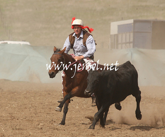 CabanandraCampdraft2013_1D_0545