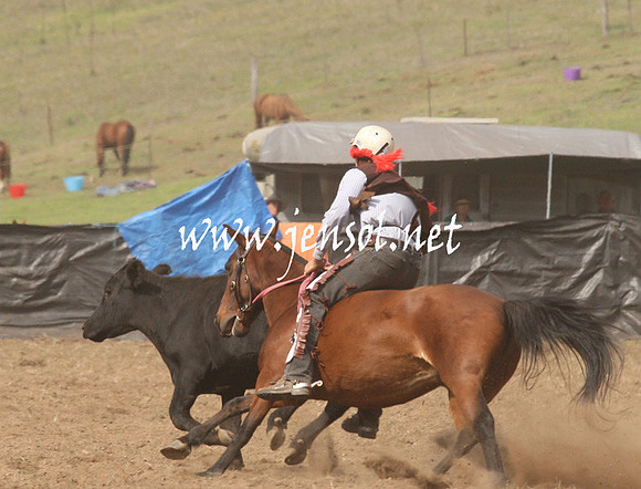 CabanandraCampdraft2013_1D_0536
