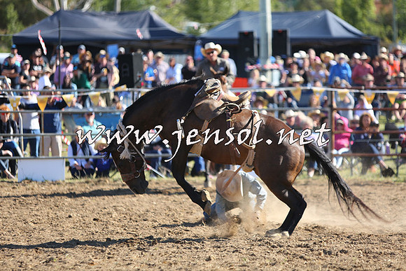 JindabyneRodeo2015_2576