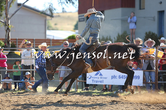 JindabyneRodeo2015_2568
