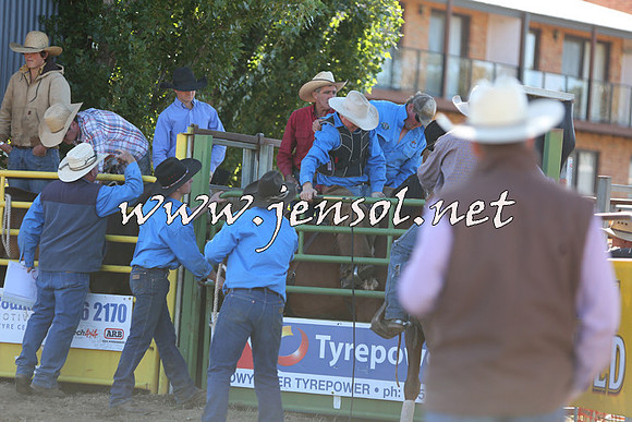 JindabyneRodeo2015_2579