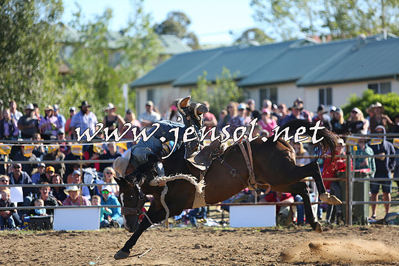 JindabyneRodeo2015_2564
